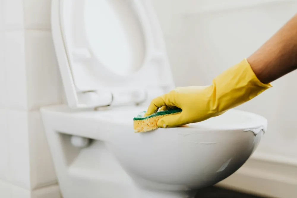 service domestic